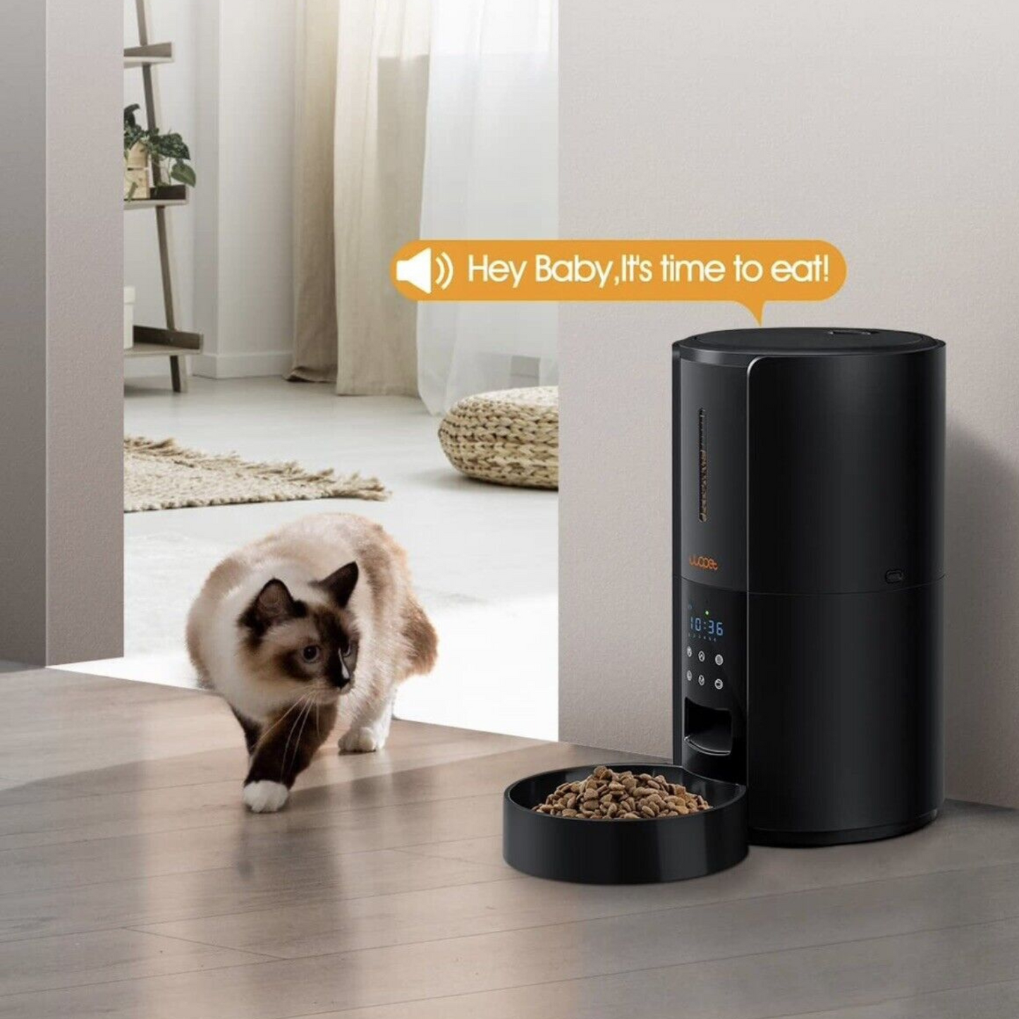 Large Automatic Pet Food Feeder