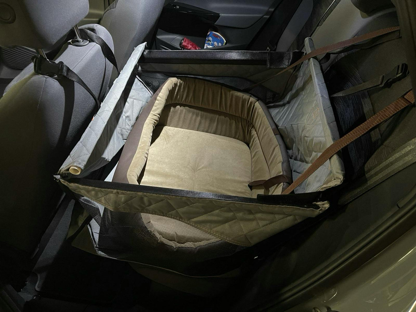 Dogs Hard Floor Car Seat