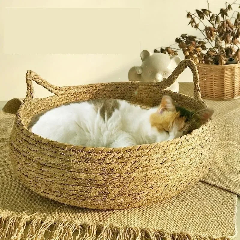 Woven Cat Bed with Seasonal Pad
