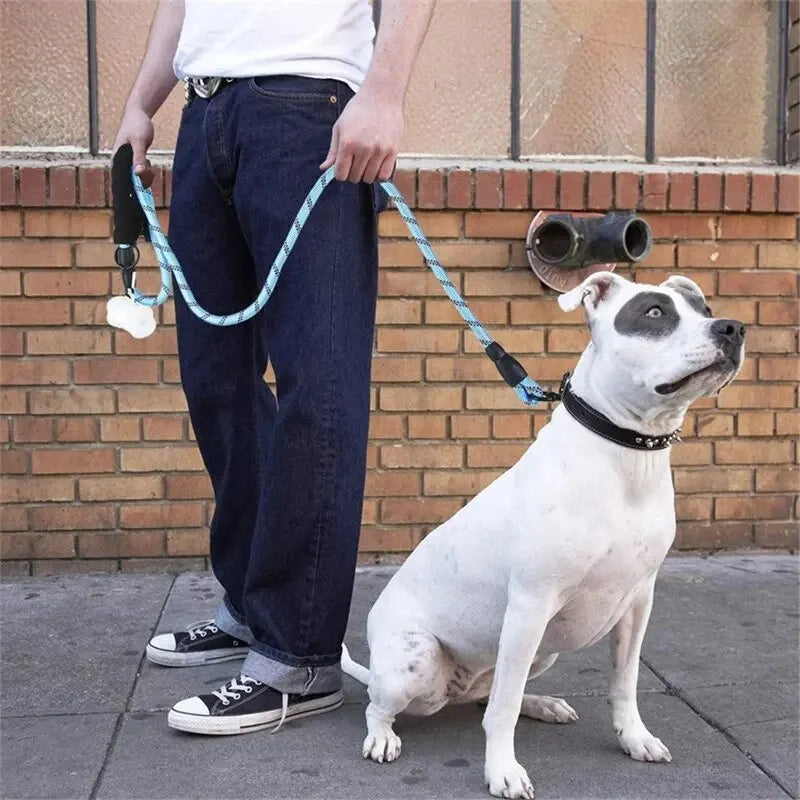 Reflective Dog Leash Padded Handle