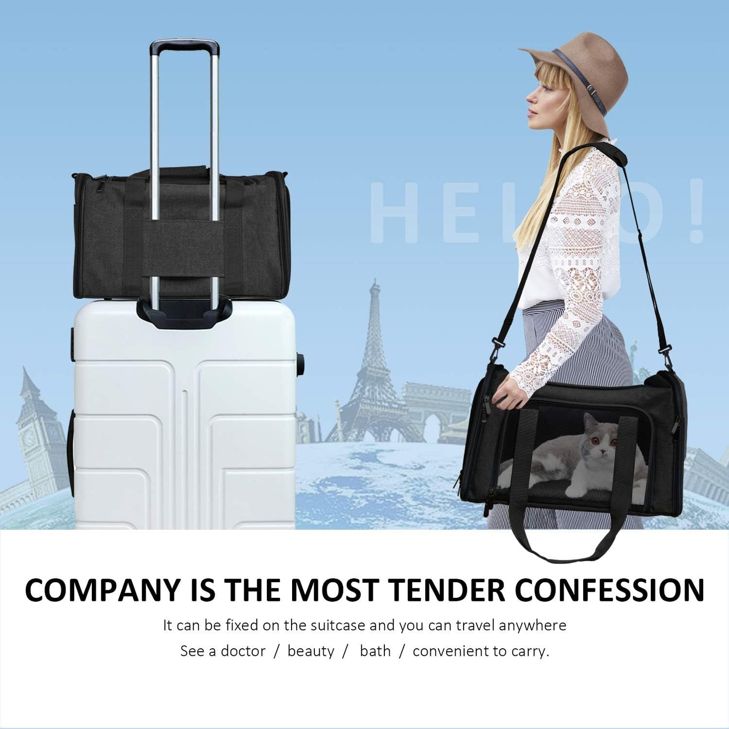 Dog & Cat Carrier Bag up to 15 lbs