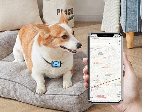 GPS Dog Location Collar
