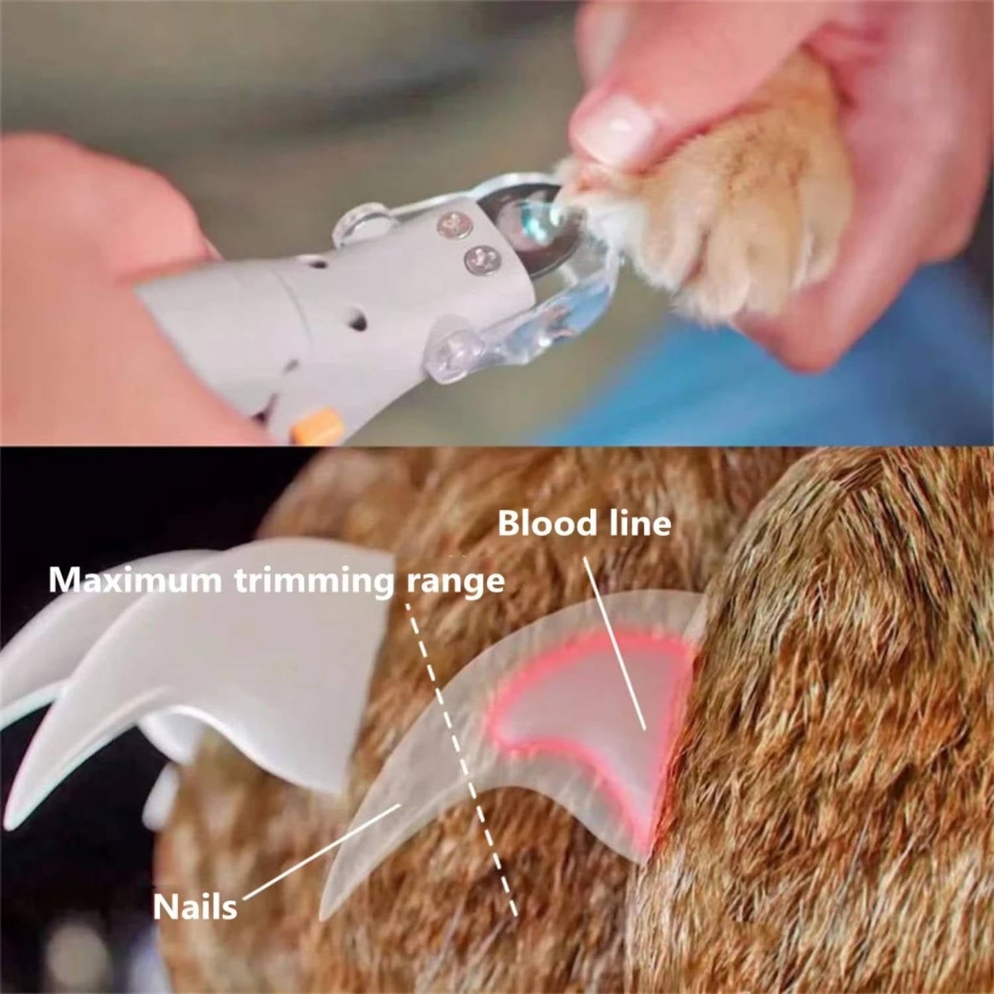 Pet Nail Clipper With Light