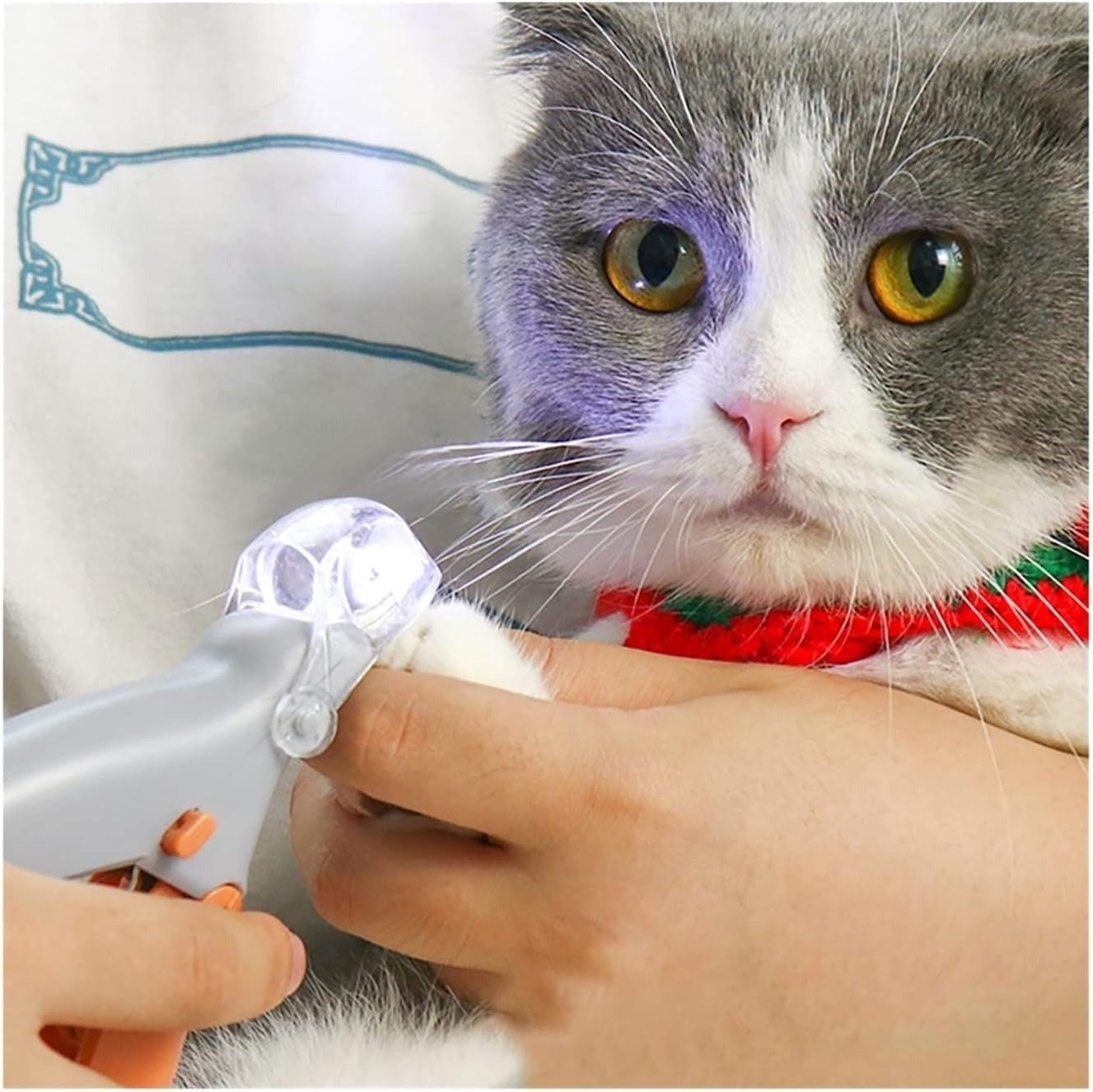 Pet Nail Clipper With Light